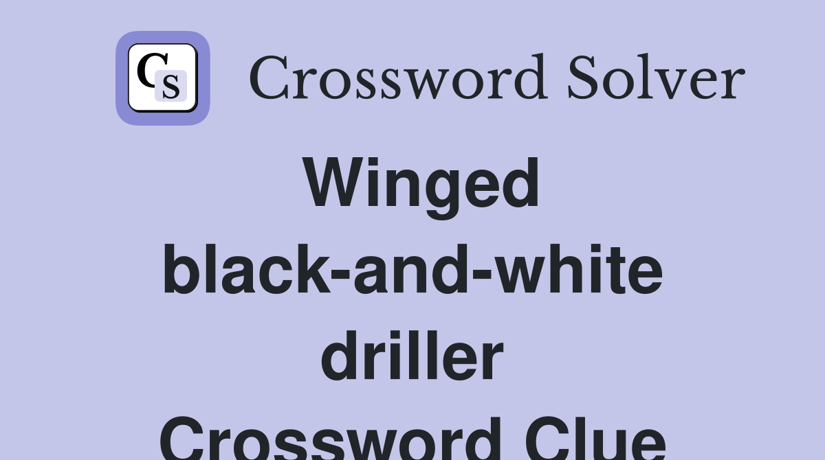 Winged black-and-white driller Crossword Clue