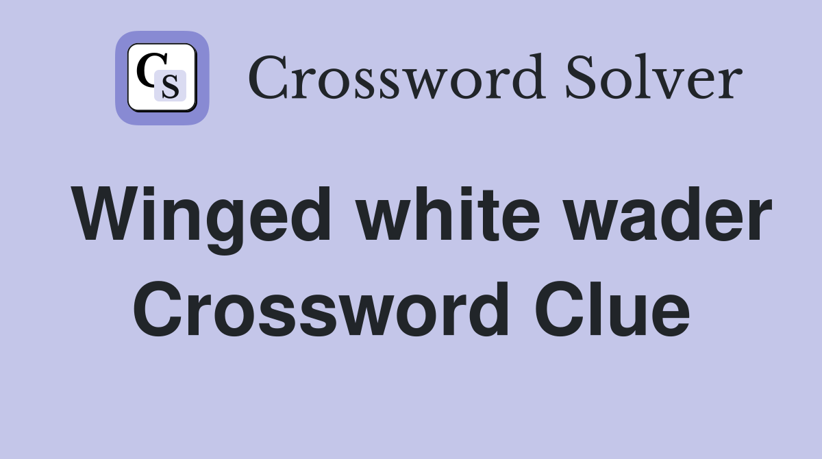 Winged white wader Crossword Clue