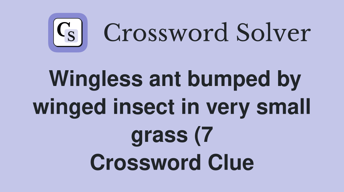Wingless ant bumped by winged insect in very small grass (7 Wingless ant bumped by winged insect in very small grass (7