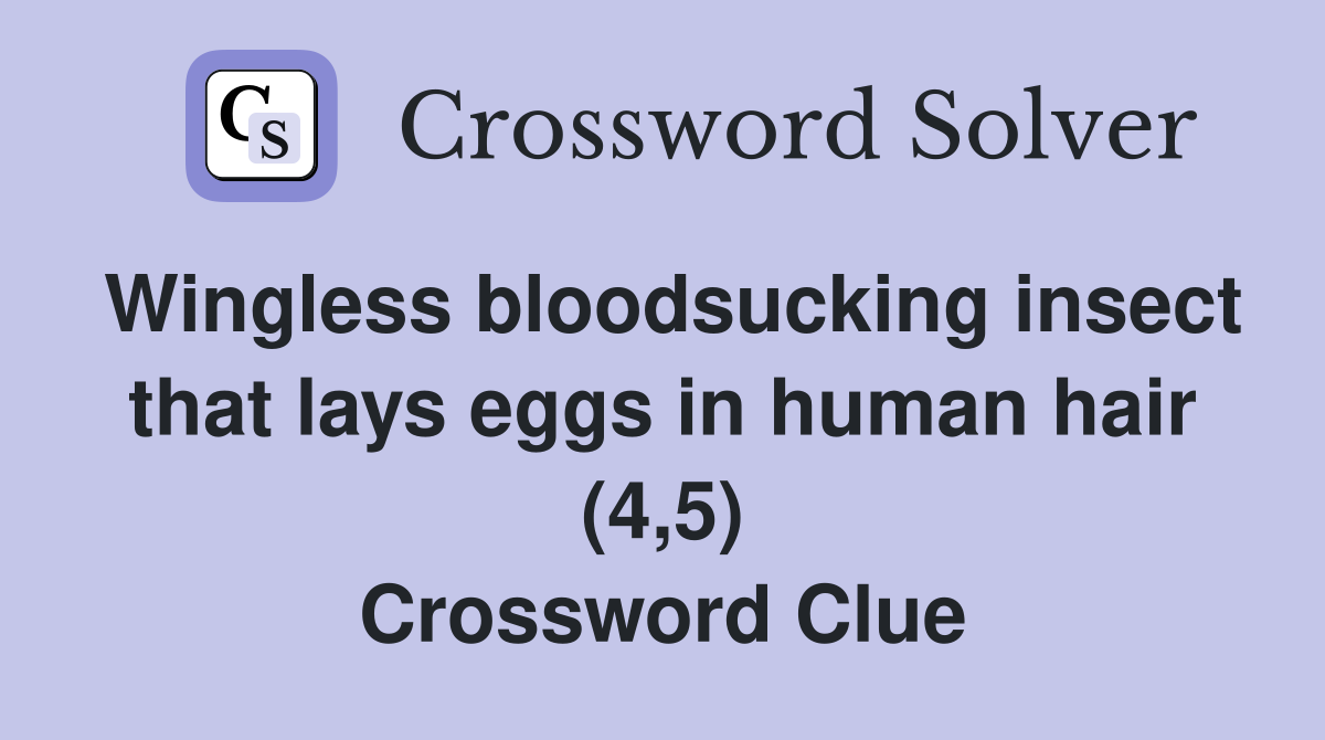 Wingless bloodsucking insect that lays eggs in human hair (4,5) Crossword Clue
