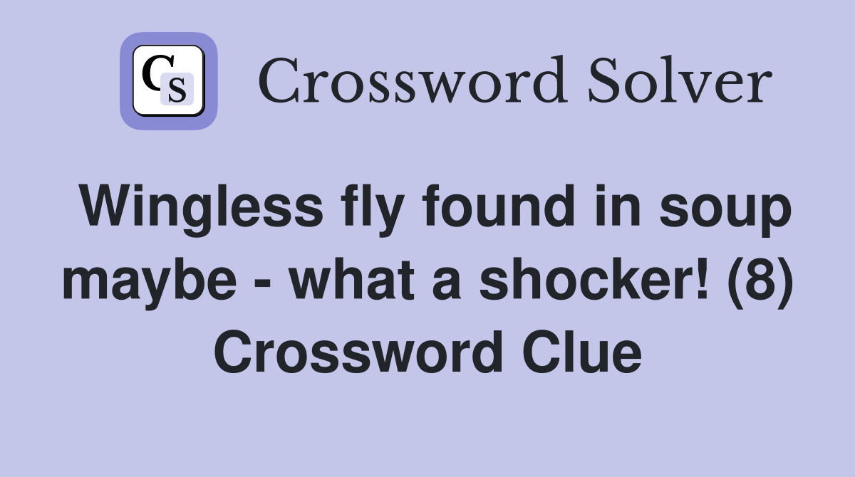 Wingless fly found in soup maybe - what a shocker! (8) Crossword Clue