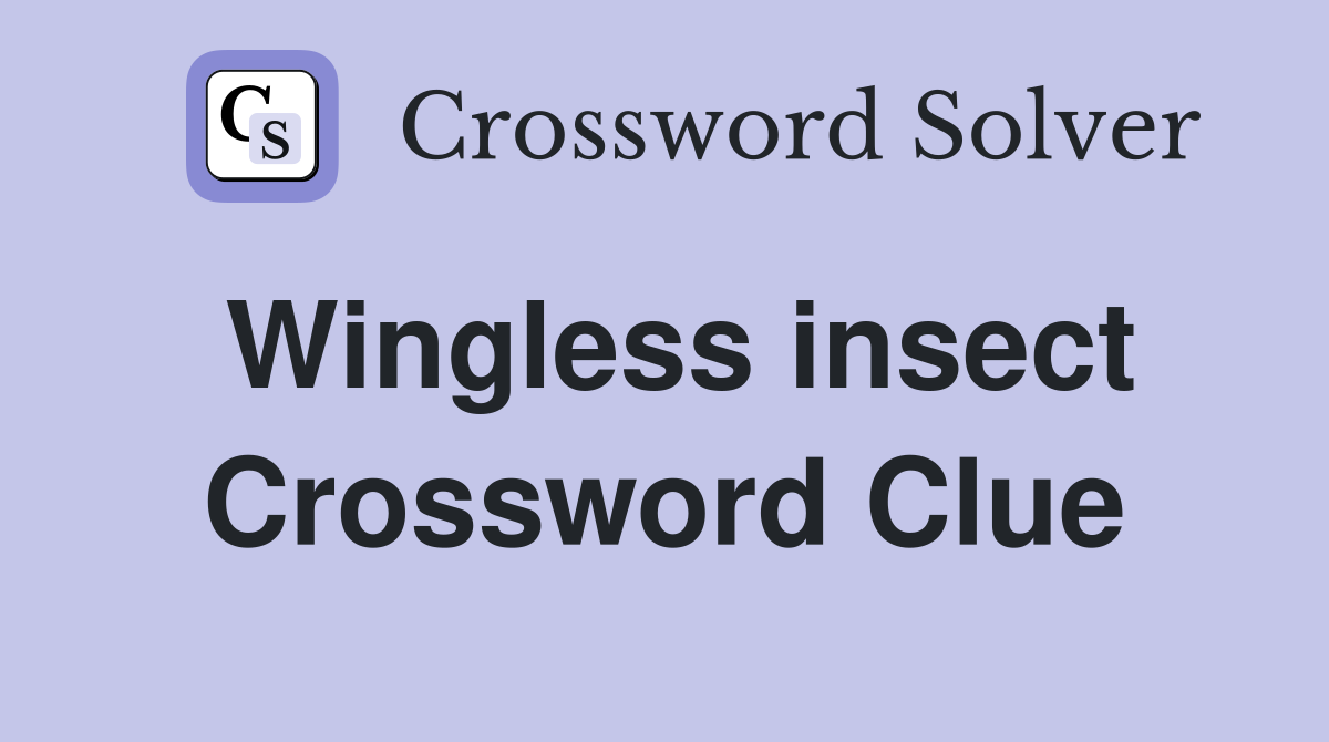 Wingless insect Crossword Clue
