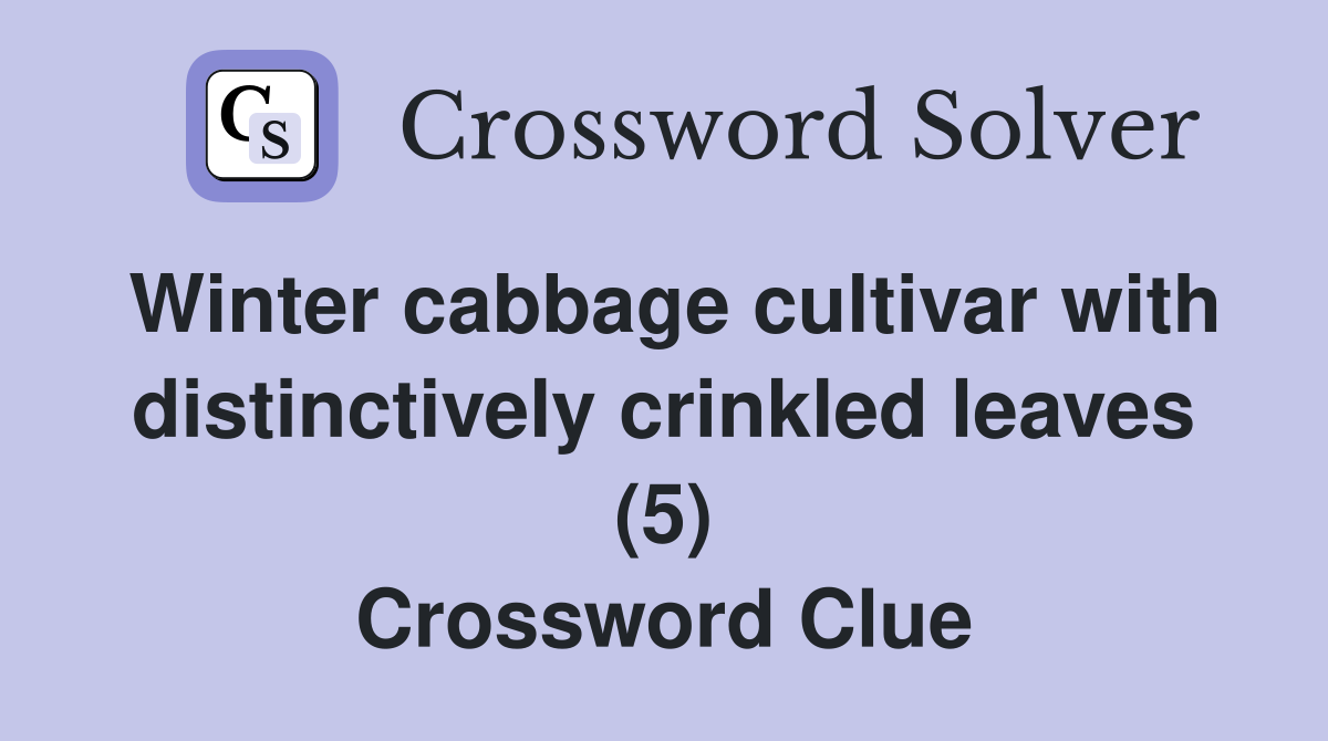Winter cabbage cultivar with distinctively crinkled leaves (5) Crossword Clue