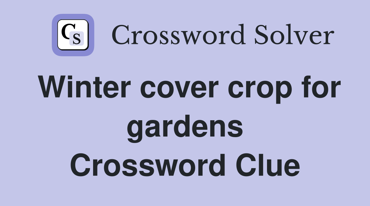 Winter cover crop for gardens Crossword Clue