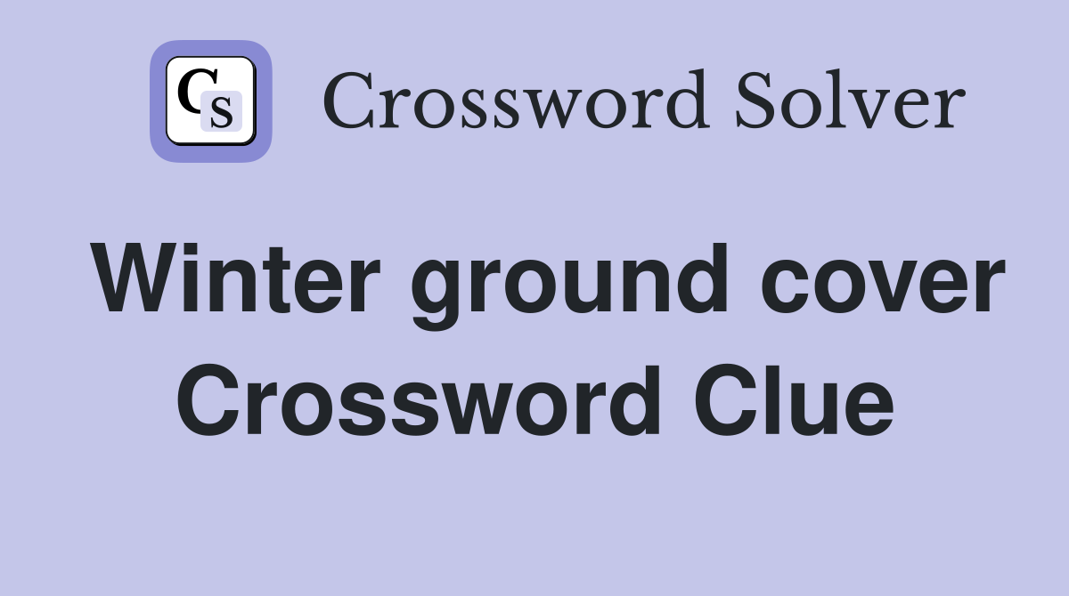 Winter ground cover Crossword Clue