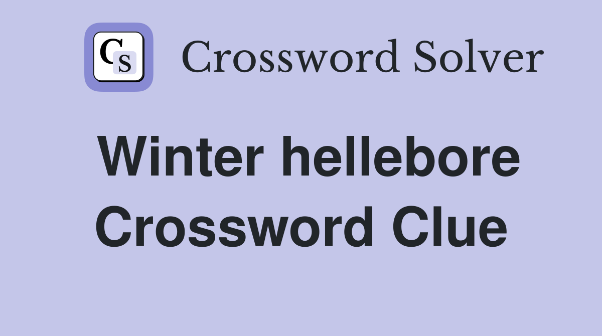 Winter hellebore Crossword Clue