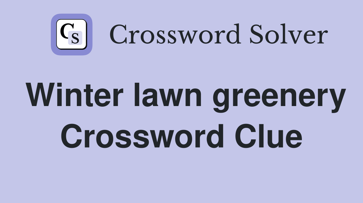 Winter lawn greenery Crossword Clue