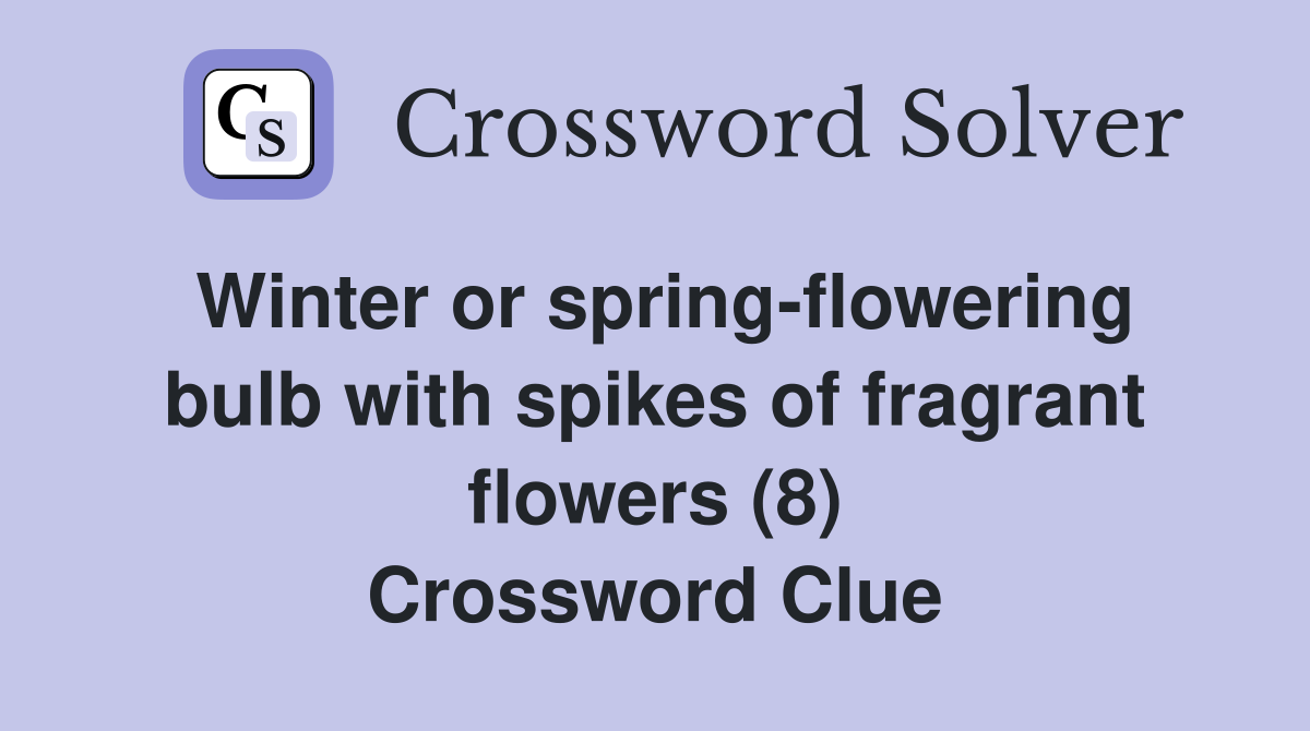 Winter or spring-flowering bulb with spikes of fragrant flowers (8) Crossword Clue