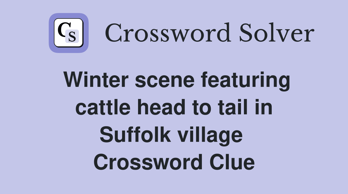 Winter scene featuring cattle head to tail in Suffolk village  Crossword Clue