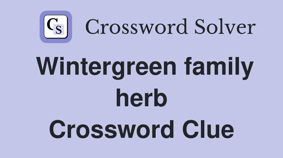 Wintergreen family herb Crossword Clue