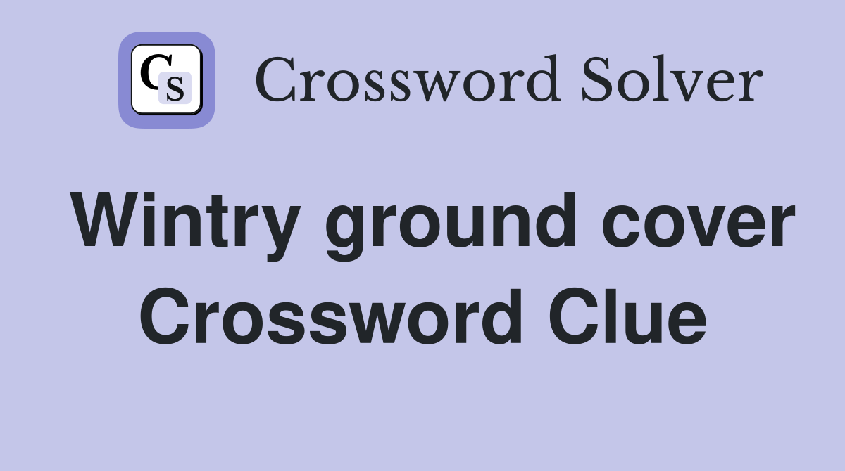 Wintry ground cover Crossword Clue