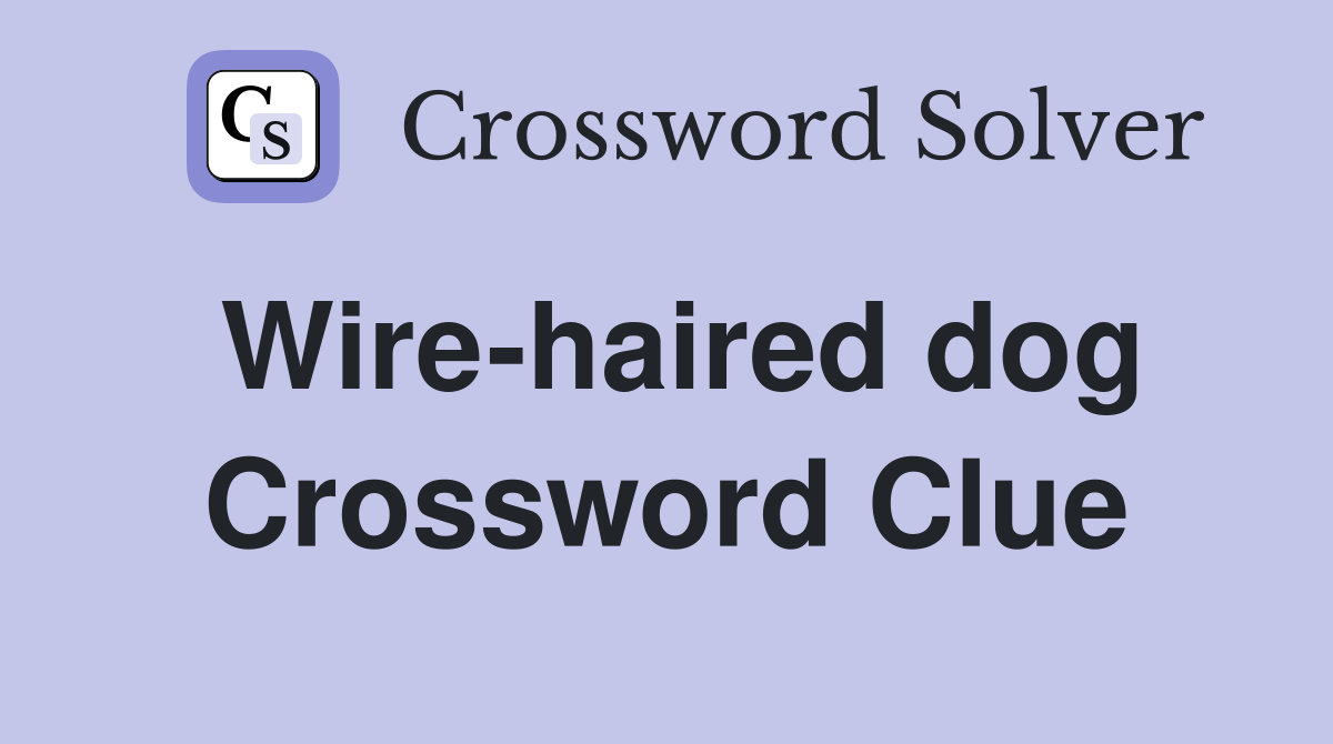 Wire-haired dog Crossword Clue