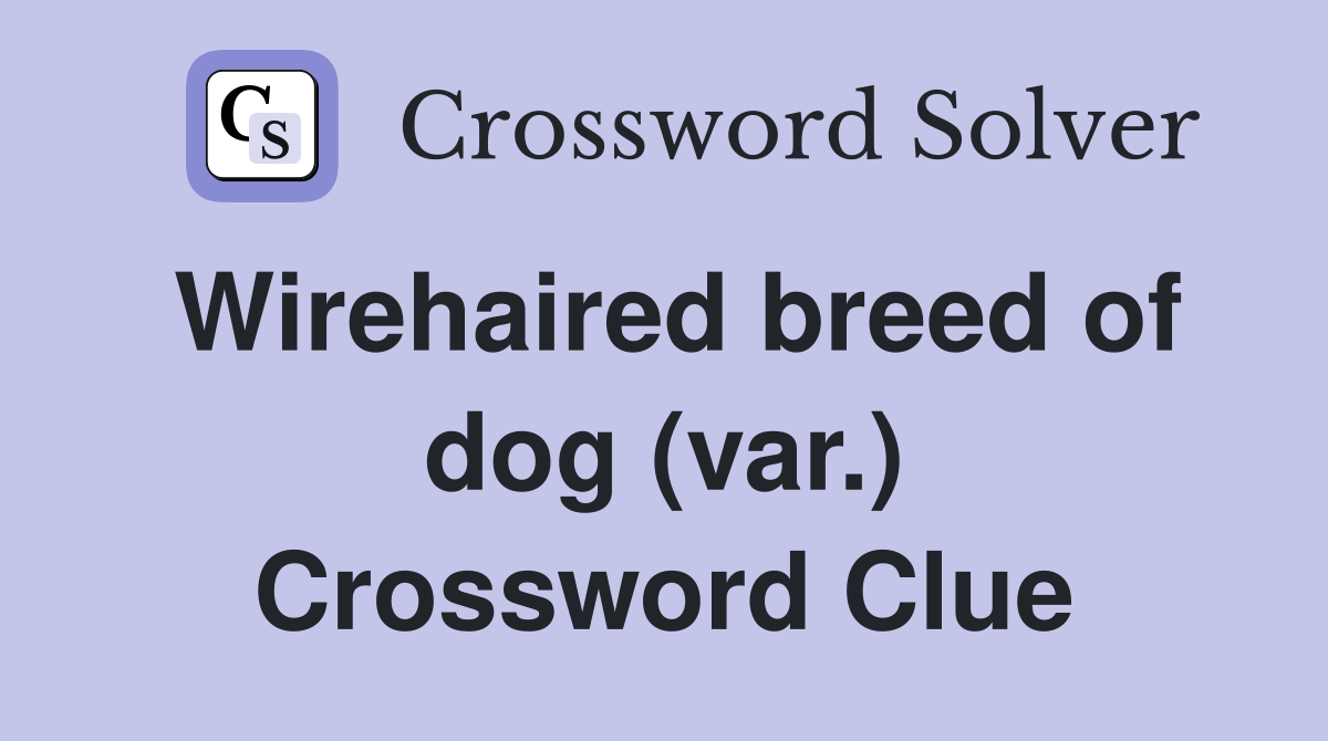 Wirehaired breed of dog (var.) Crossword Clue