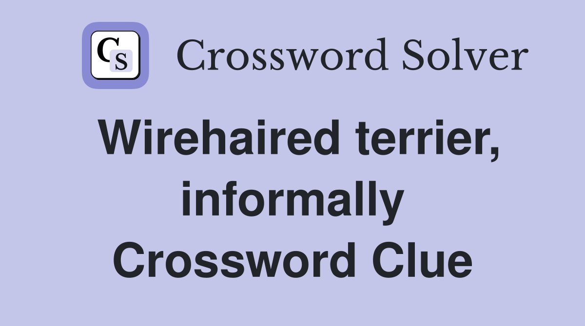 Wirehaired terrier, informally Crossword Clue
