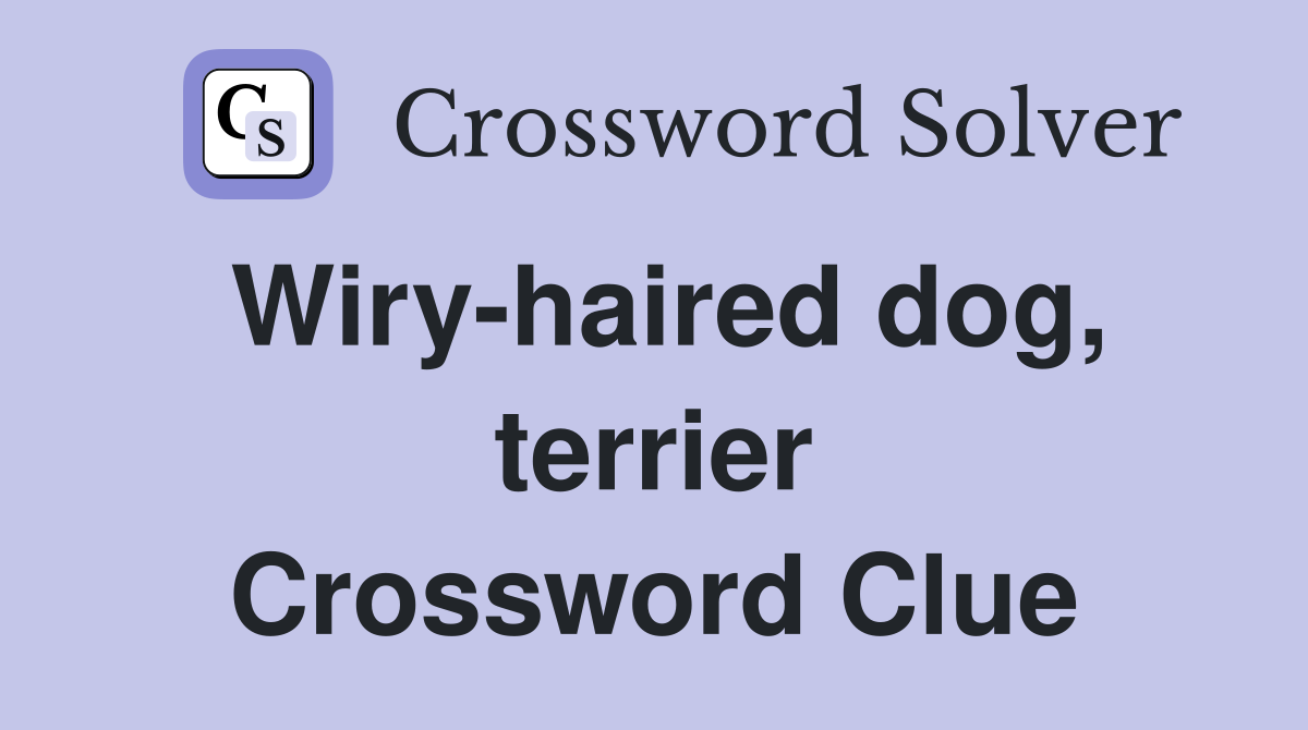 Wiry-haired dog, terrier Crossword Clue