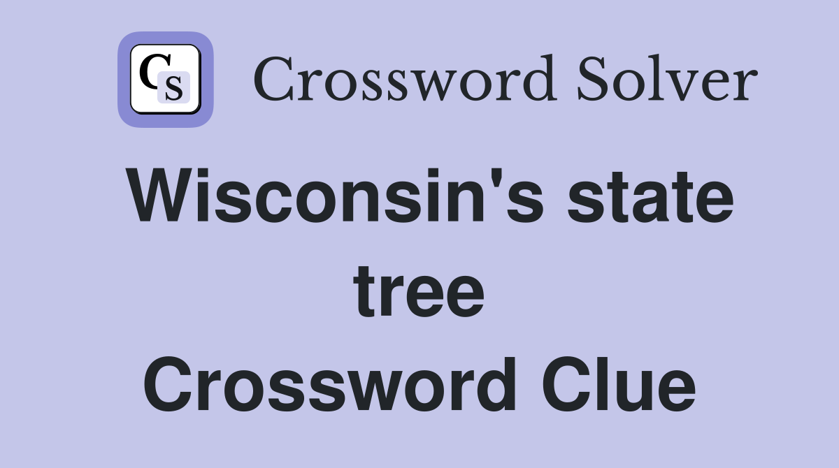 Wisconsin's state tree Crossword Clue