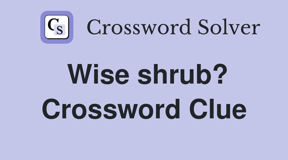 Wise shrub? Crossword Clue