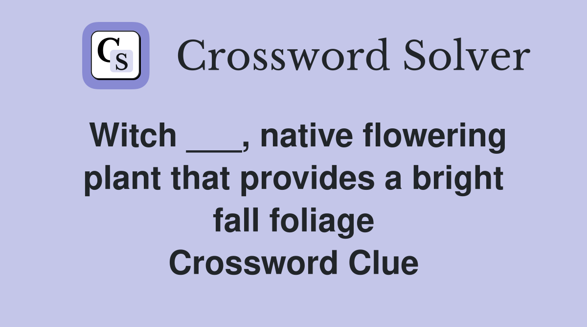Witch ___, native flowering plant that provides a bright fall foliage Crossword Clue
