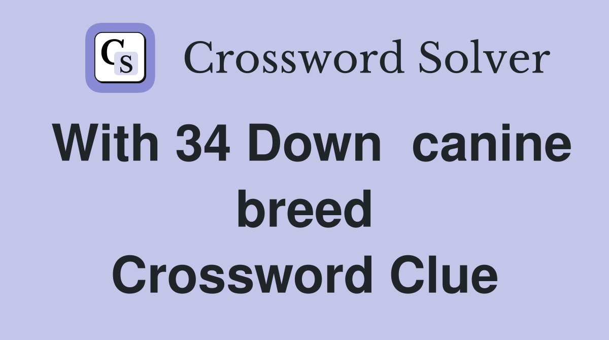 With 34 Down  canine breed Crossword Clue