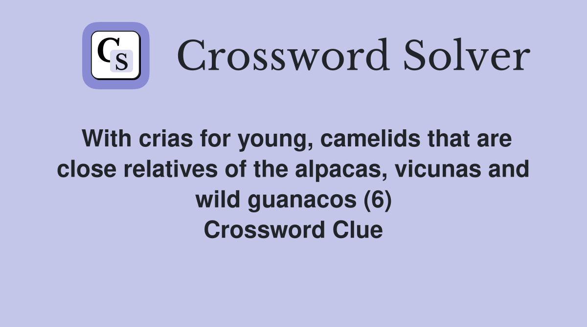 With crias for young, camelids that are close relatives of the alpacas, vicunas and wild guanacos (6) Crossword Clue