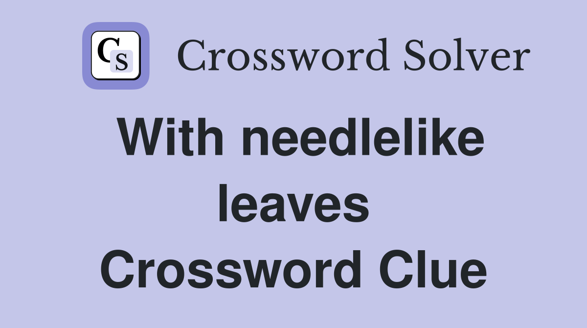 With needlelike leaves Crossword Clue