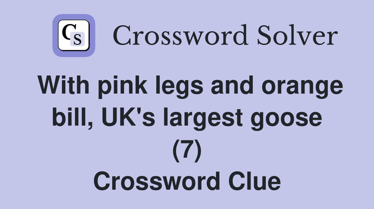 With pink legs and orange bill, UK's largest goose (7) Crossword Clue