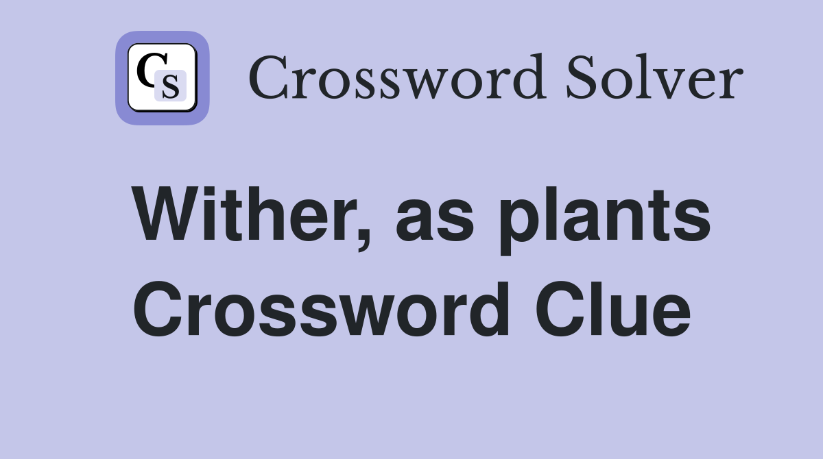 Wither, as plants Crossword Clue