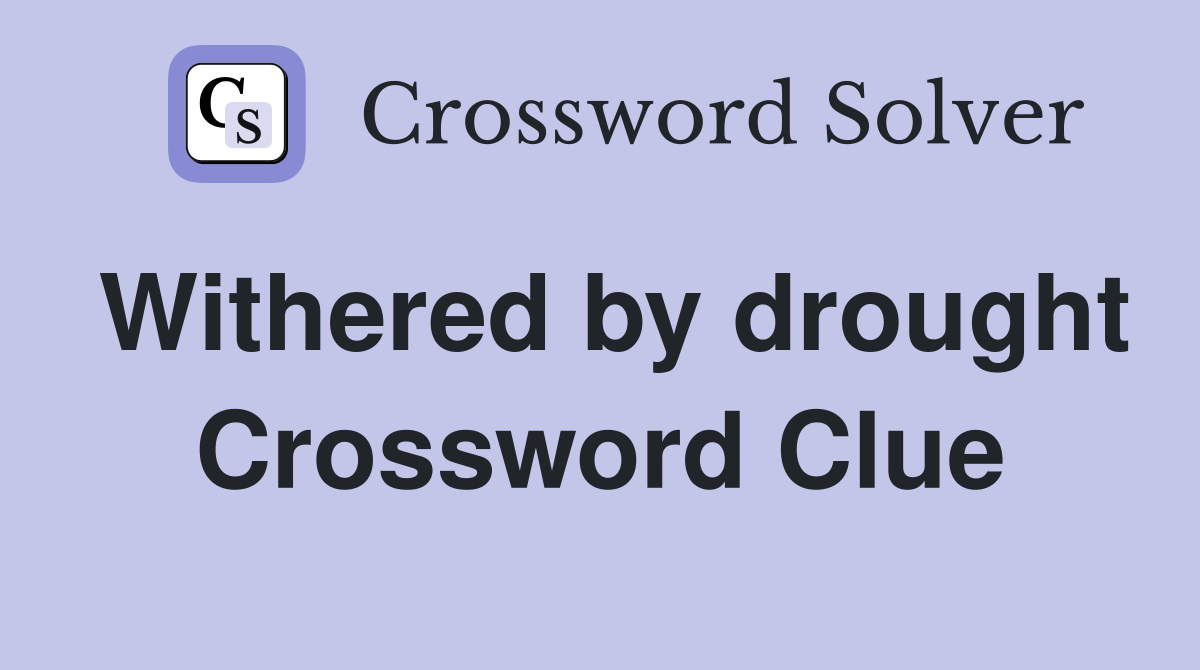Withered by drought Crossword Clue