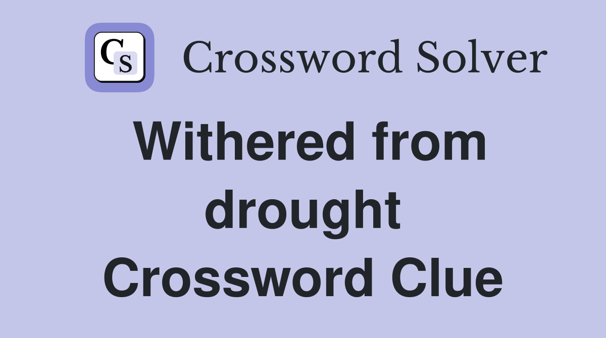 Withered from drought Crossword Clue
