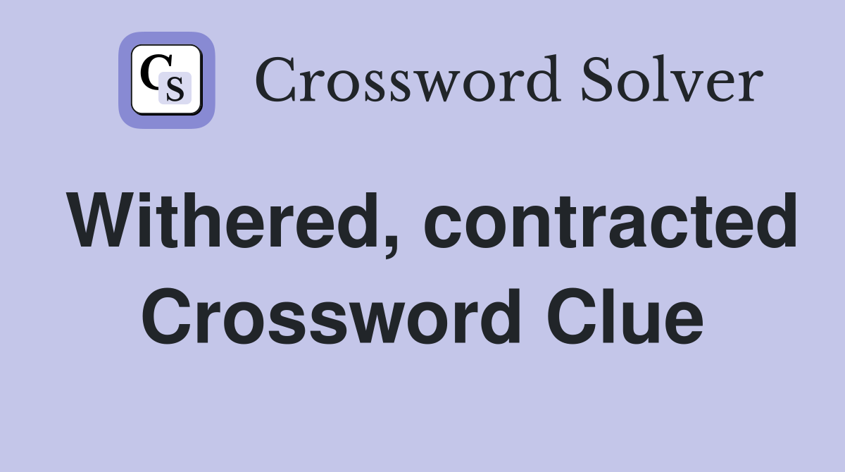 Withered, contracted Crossword Clue