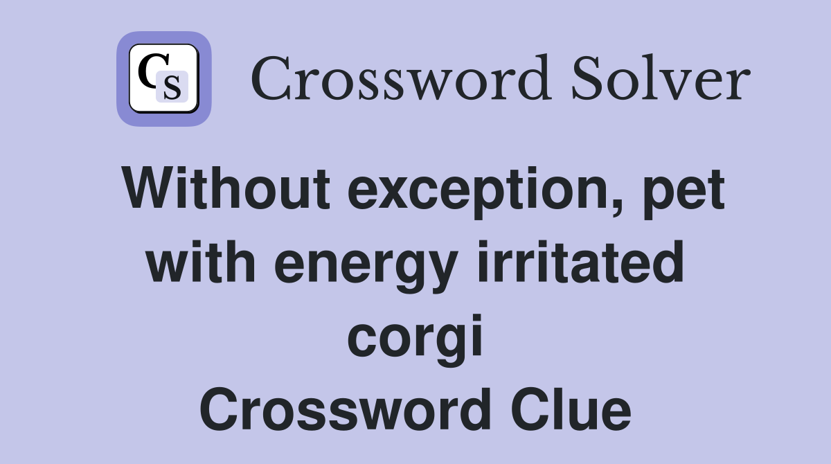 Without exception, pet with energy irritated corgi Crossword Clue