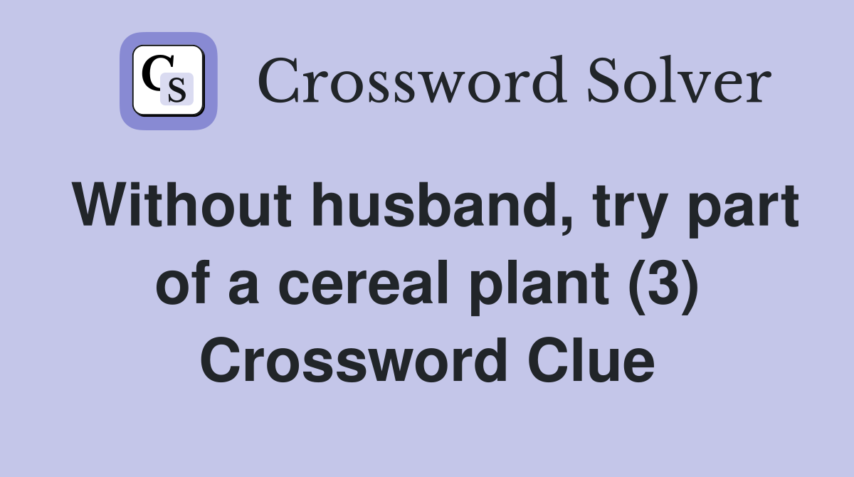 Without husband, try part of a cereal plant (3) Crossword Clue