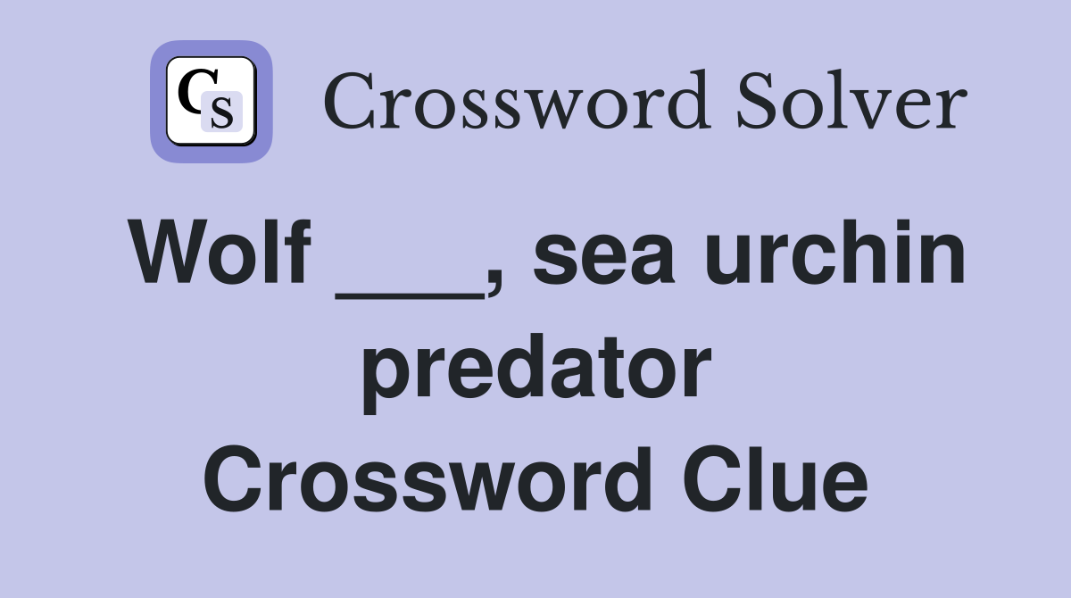 Wolf ___, sea urchin predator Crossword Clue
