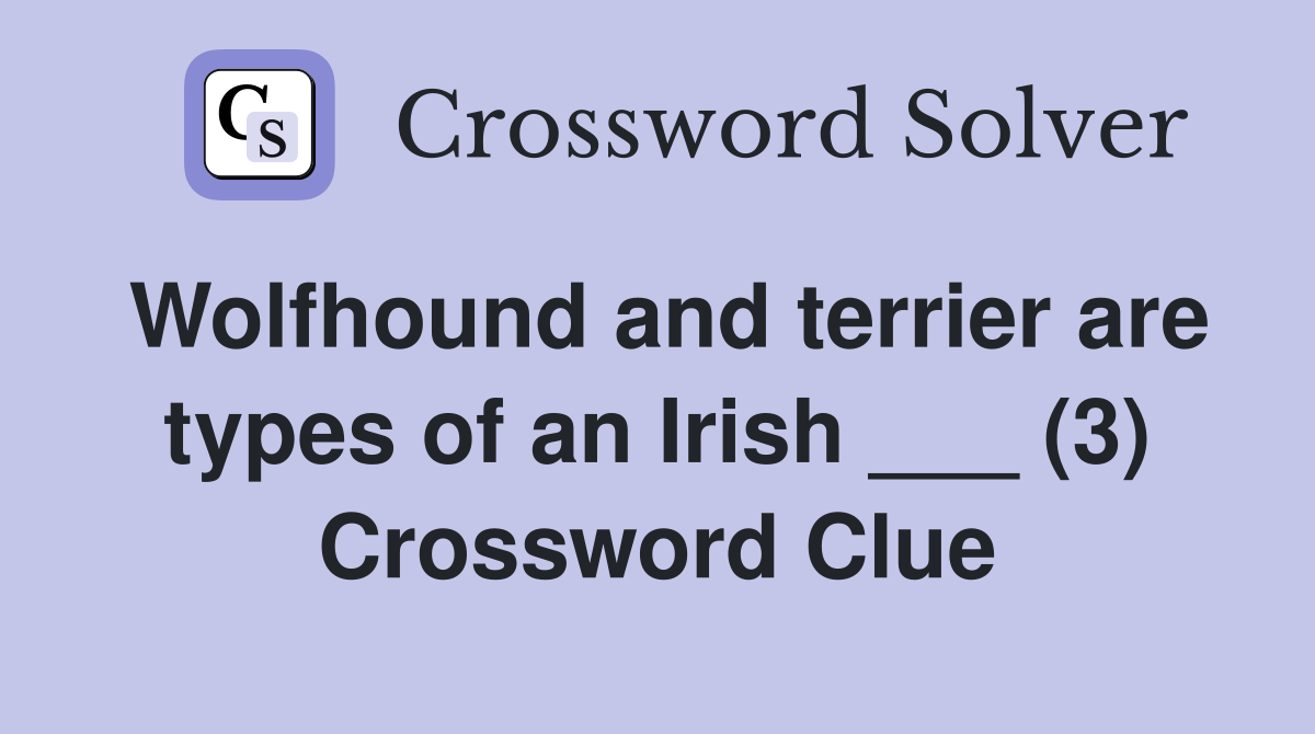 Wolfhound and terrier are types of an Irish ___ (3) Crossword Clue
