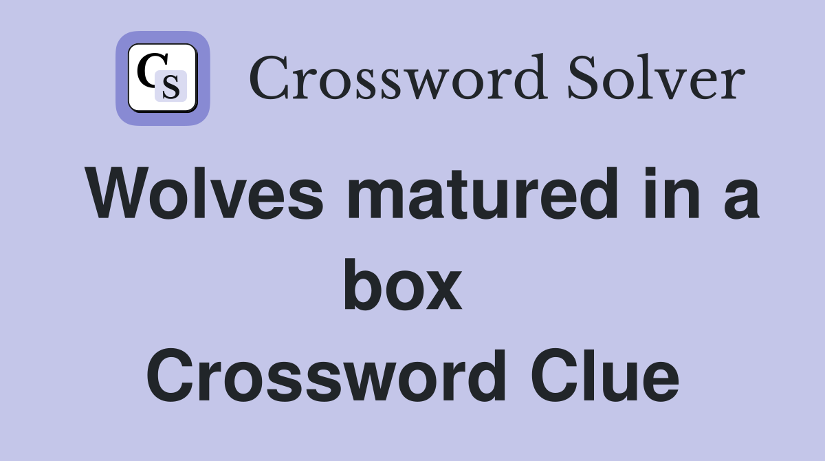 Wolves matured in a box  Crossword Clue