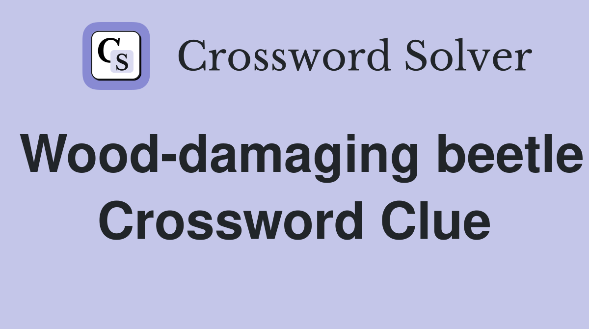 Wood-damaging beetle Crossword Clue