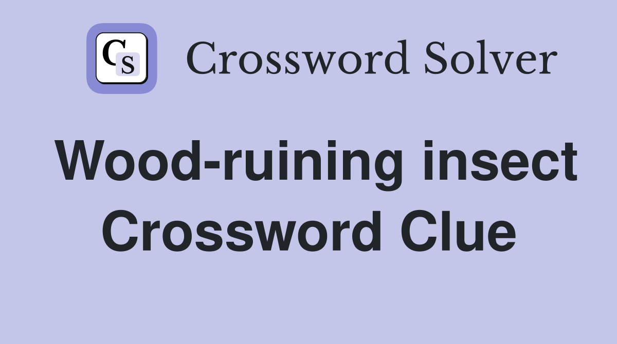 Wood-ruining insect Crossword Clue