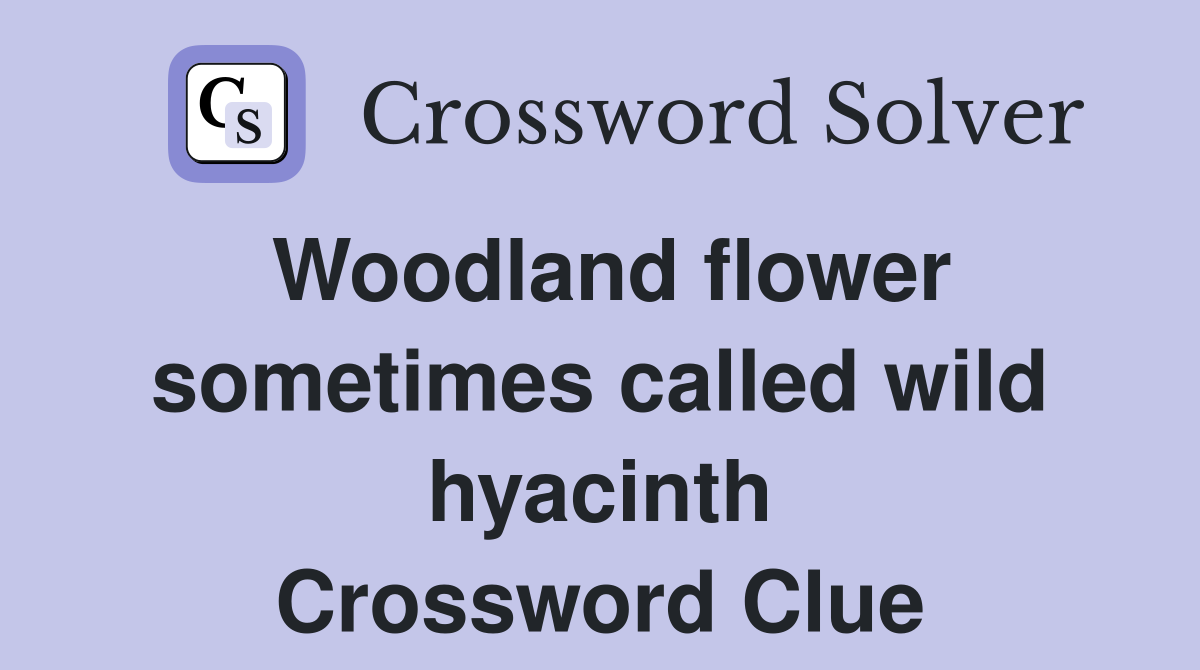 Woodland flower sometimes called wild hyacinth Crossword Clue