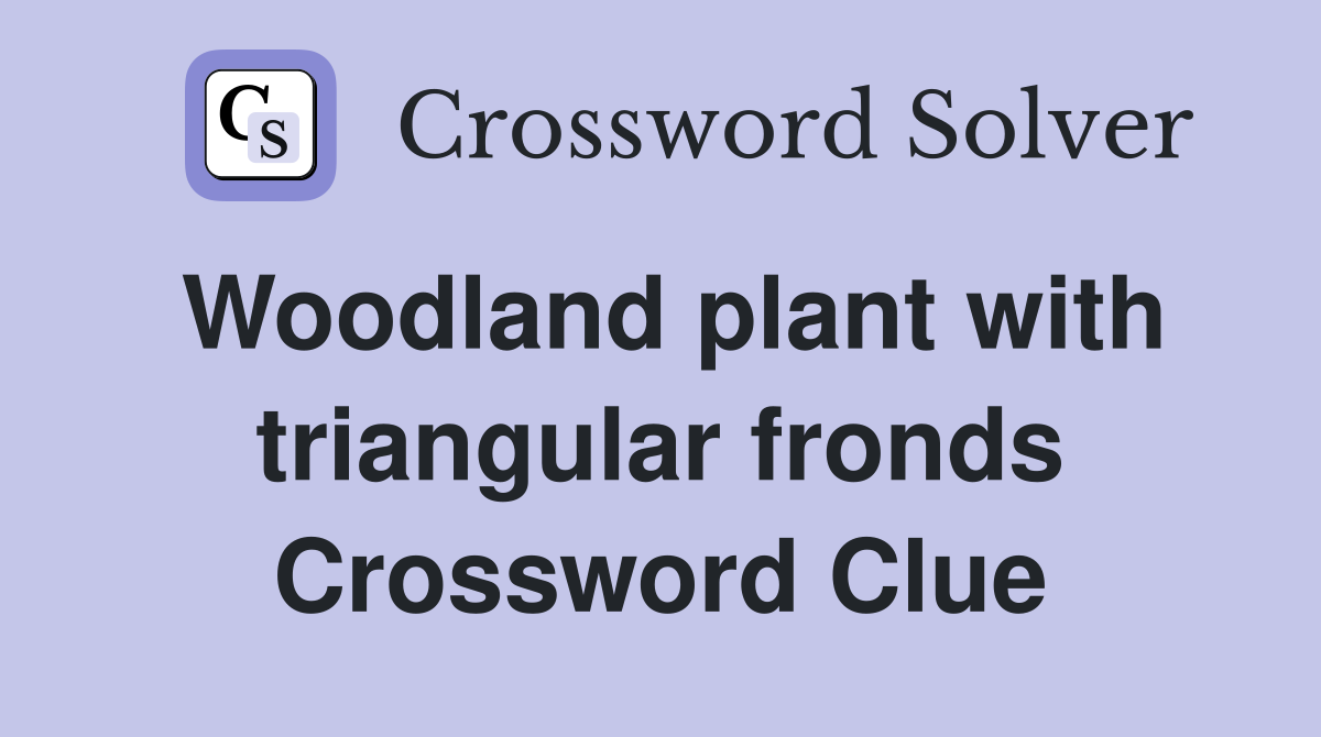 Woodland plant with triangular fronds Crossword Clue