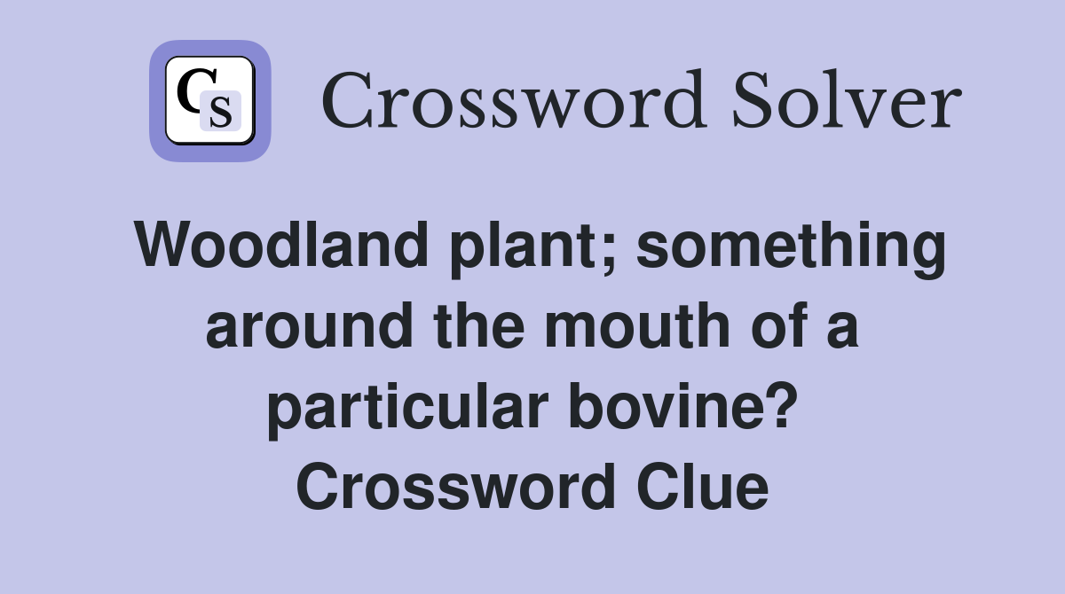 Woodland plant; something around the mouth of a particular bovine? Crossword Clue