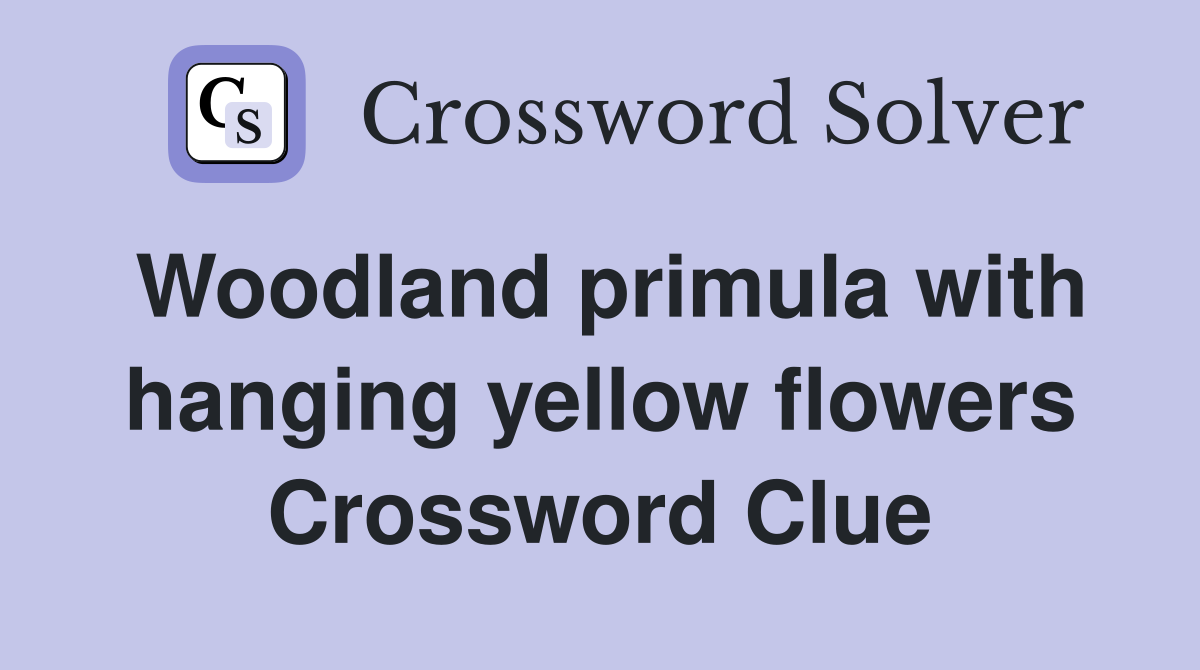 Woodland primula with hanging yellow flowers Crossword Clue