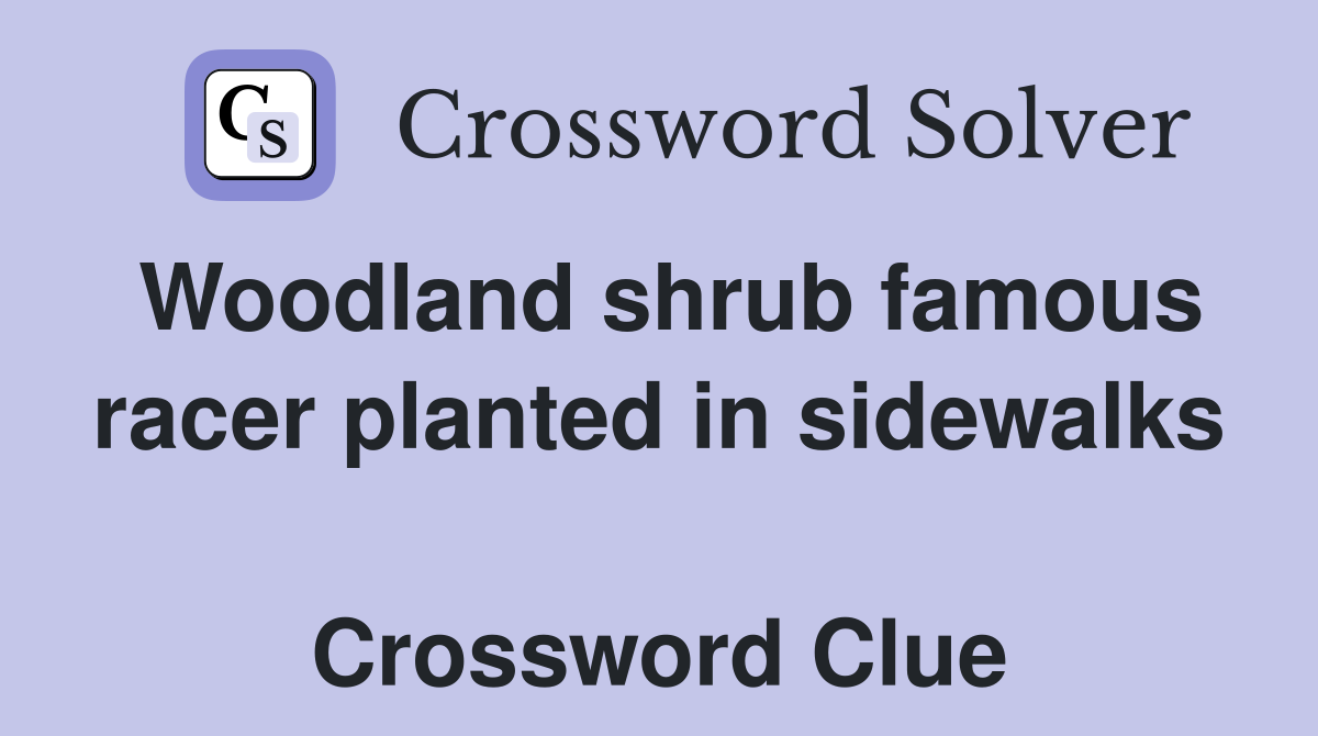 Woodland shrub famous racer planted in sidewalks  Crossword Clue