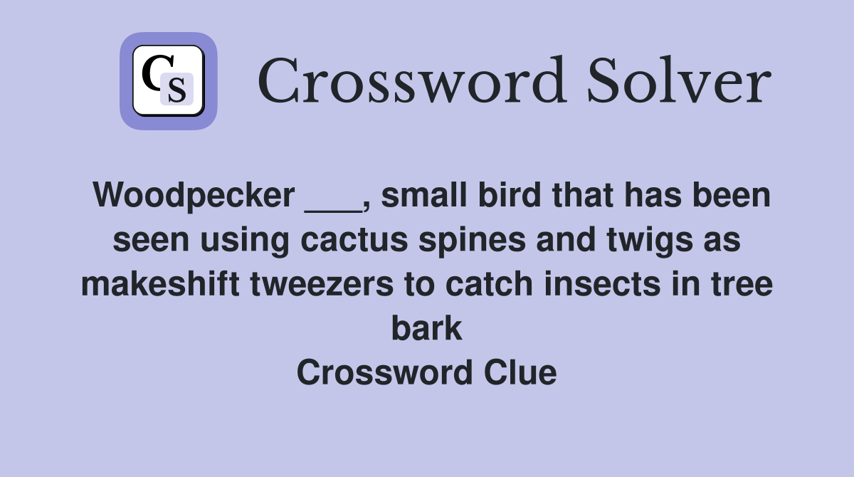 Woodpecker ___, small bird that has been seen using cactus spines and twigs as makeshift tweezers to catch insects in tree bark Crossword Clue