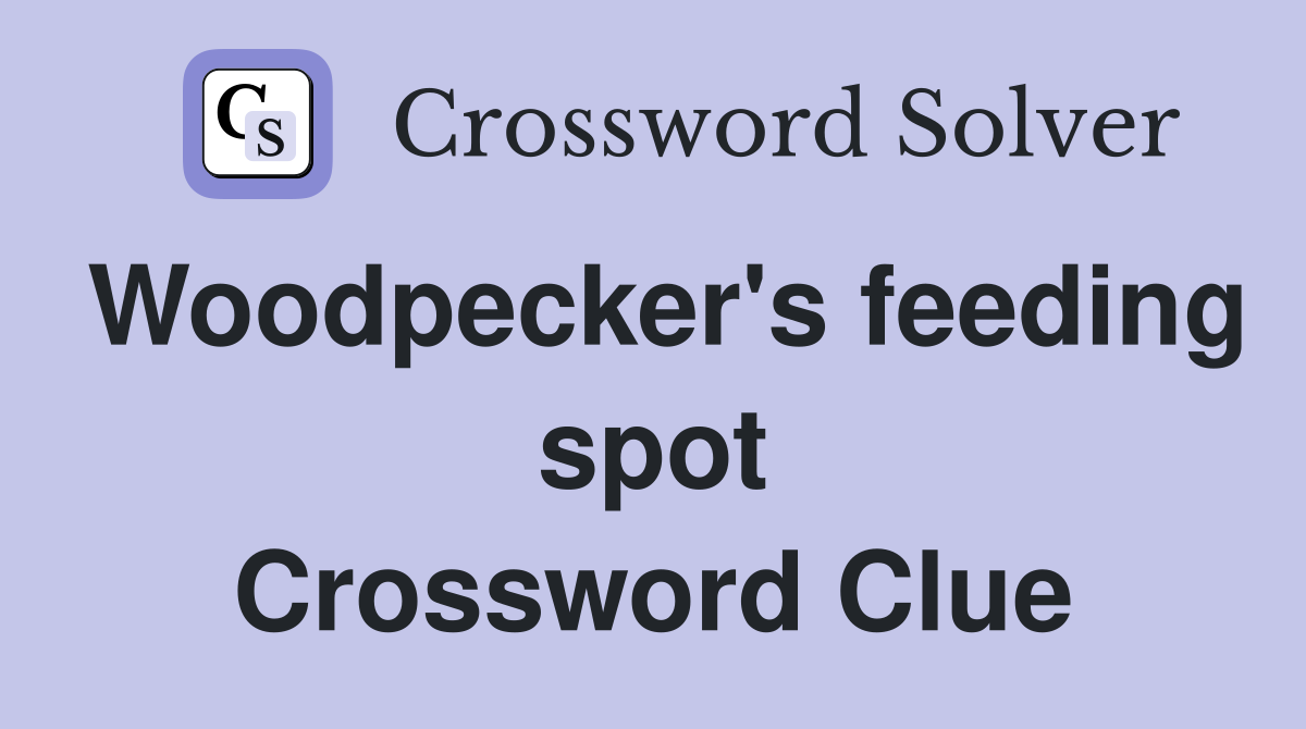 Woodpecker's feeding spot Crossword Clue