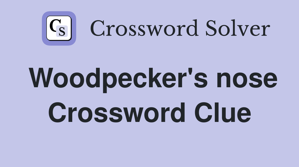 Woodpecker's nose Crossword Clue