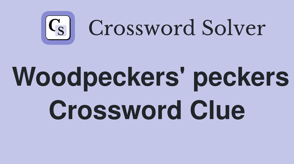 Woodpeckers' peckers Crossword Clue