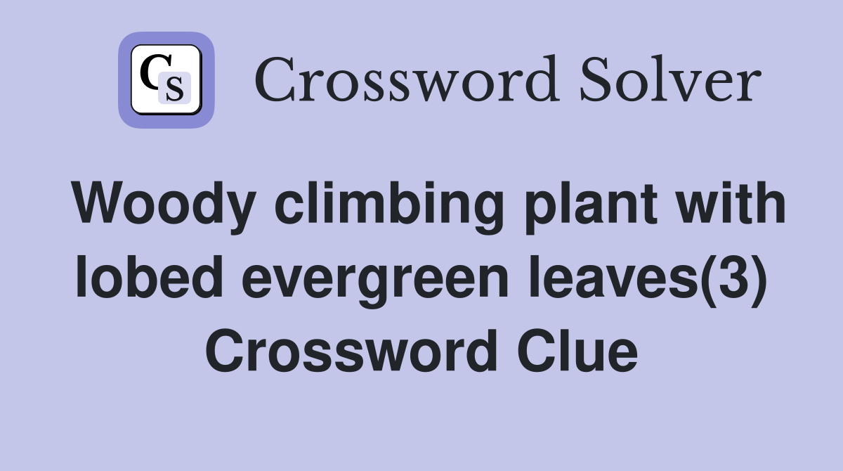 Woody climbing plant with lobed evergreen leaves(3) Crossword Clue