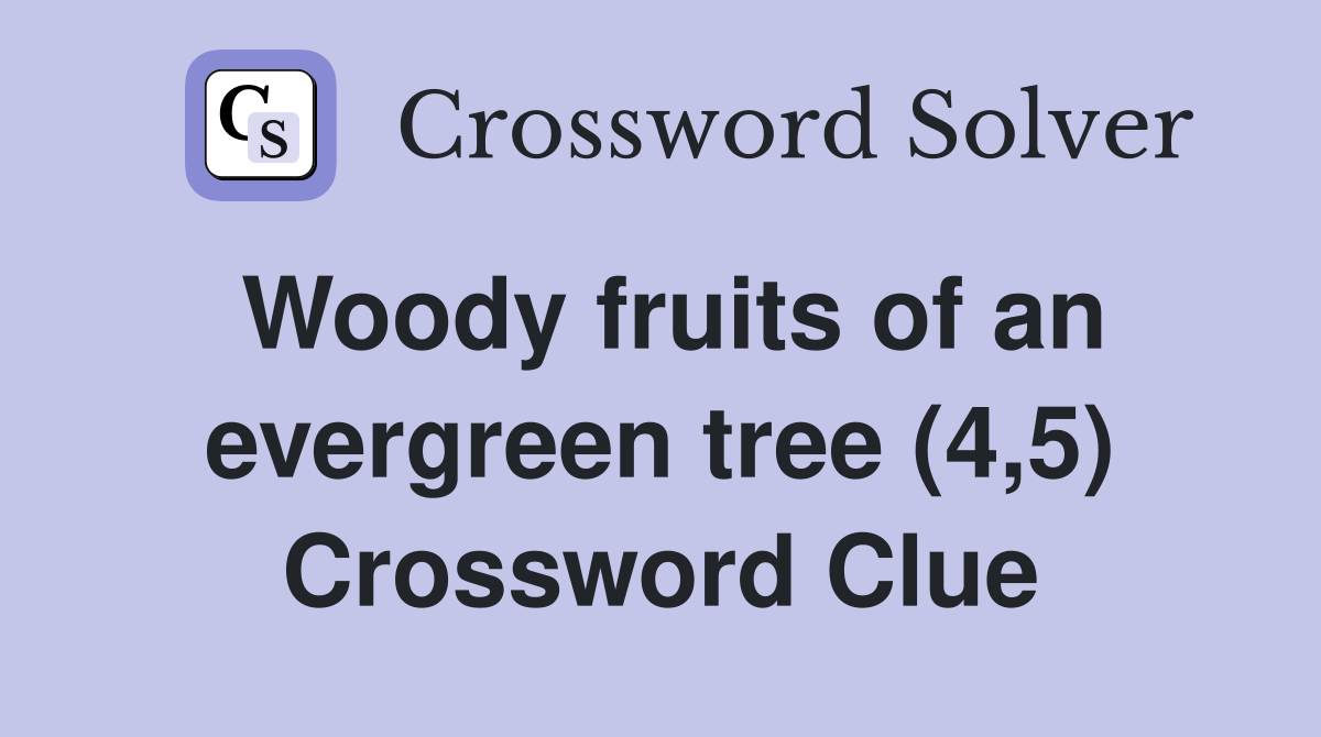 Woody fruits of an evergreen tree (4,5) Crossword Clue