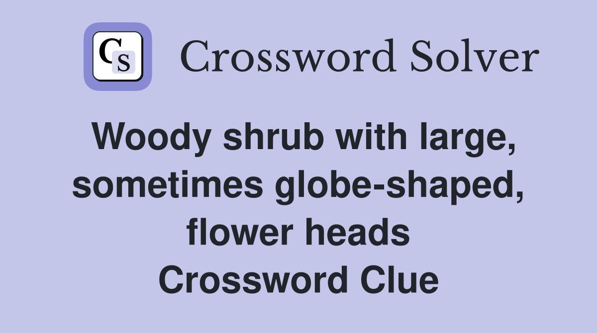 Woody shrub with large, sometimes globe-shaped, flower heads Crossword Clue