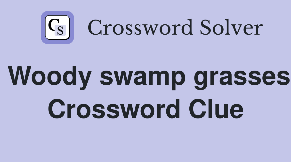 Woody swamp grasses Crossword Clue